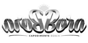 borabora_logo-removebg-preview